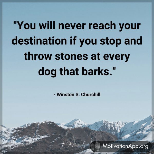 You will never reach your destination if you stop and throw stones at every dog that barks. - Winston S. Churchill