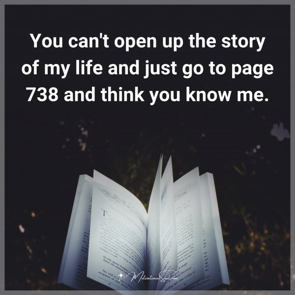 You can't open up the story of my life and just go to page 738 and think you know me.