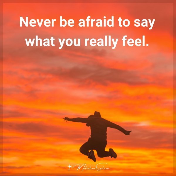 Quote: Never
be afraid to
say what you
really feel.