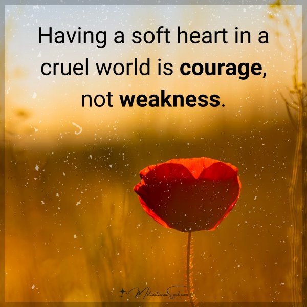 Quote: Having
a soft heart
in a cruel world
is courage,