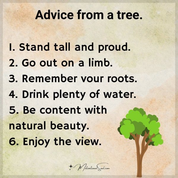 Quote: Advice
from a tree.
1. Stand tall and proud.
2. Go
