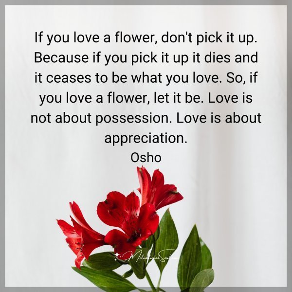 Quote: If you love a flower, don’t pick it up.
Because if you