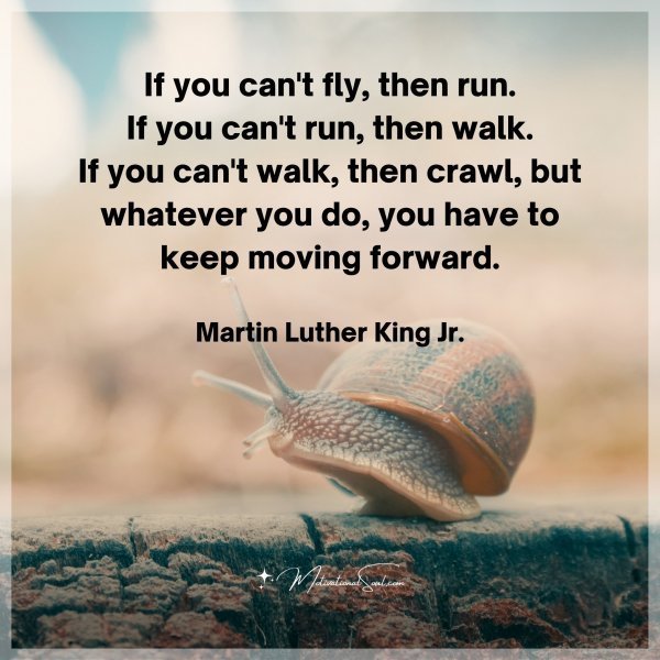 Quote: If you can’t fly, then run.
If you can’t run, then
