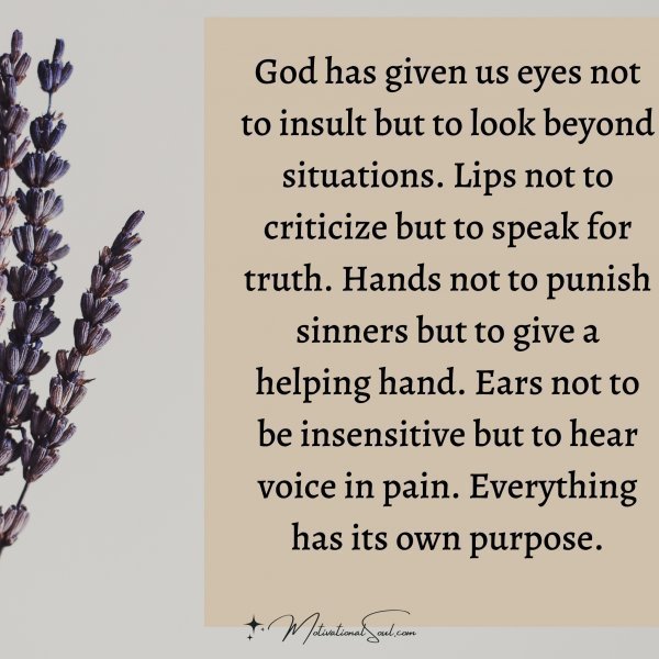 Quote: God has given us eyes
not to insult but to look
beyond