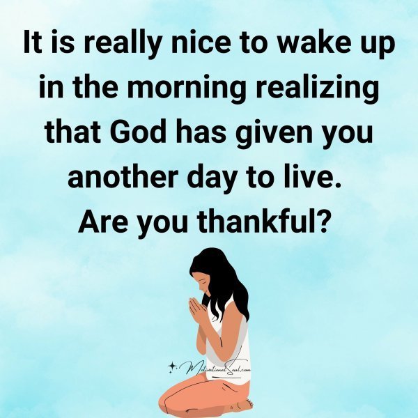 Quote: It is really
nice to wake up in the
morning realizing