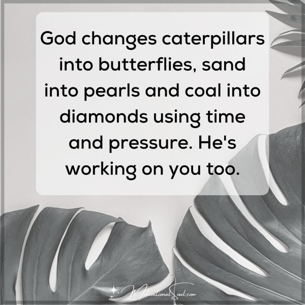 Quote: God changes
caterpillars into
butterflies, sand