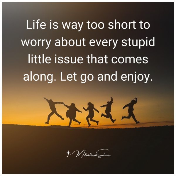 Life is way too short to worry about every stupid little issue that comes along. Let go and enjoy.