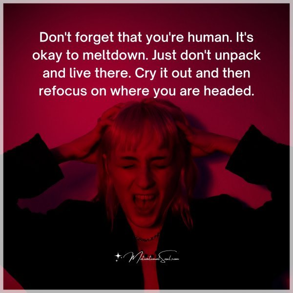 Don't forget that you're human. It's okay to meltdown. Just don't unpack and live there. Cry it out and then refocus on where you are headed.