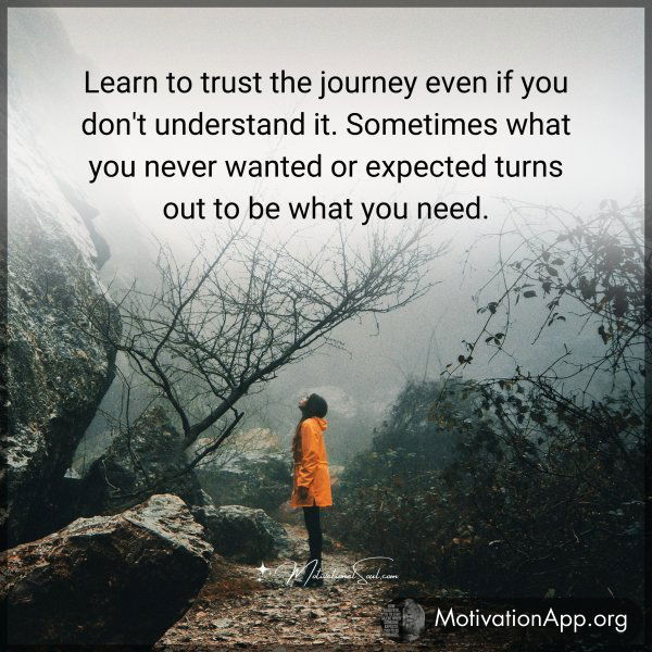 Learn to trust the journey even if you don't understand it. Sometimes what you never wanted or expected turns out to be what you need.