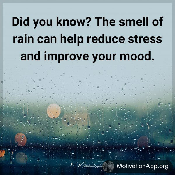 Did you know? The smell of rain can help reduce stress and improve your mood.