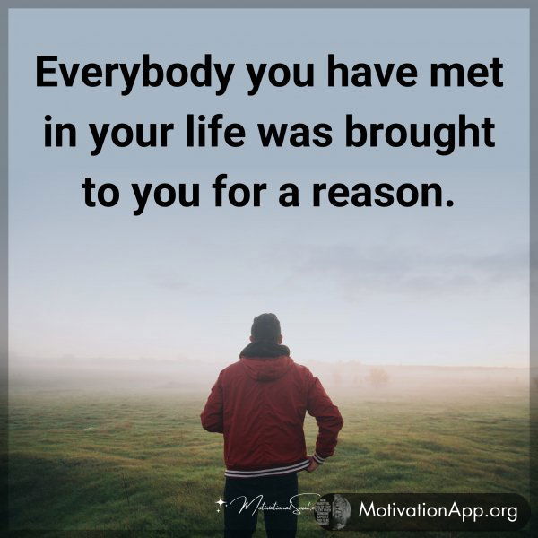 Everybody you have met in your life was brought to you for a reason.