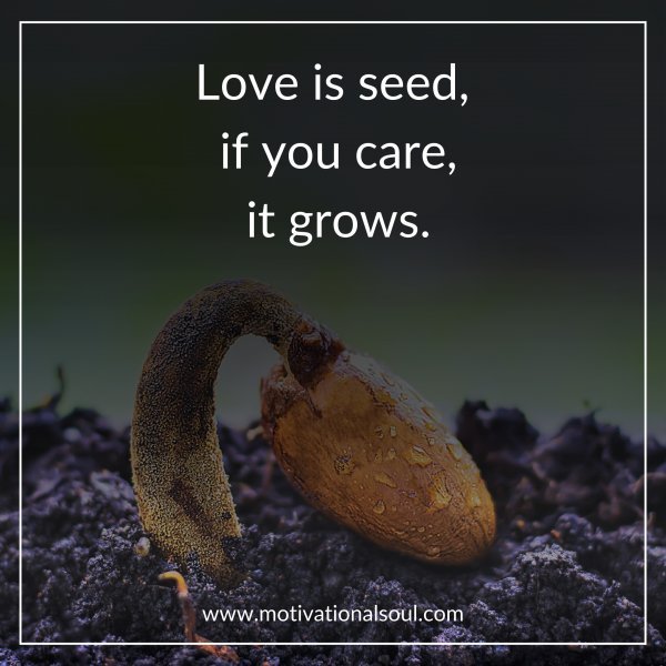 Love is seed