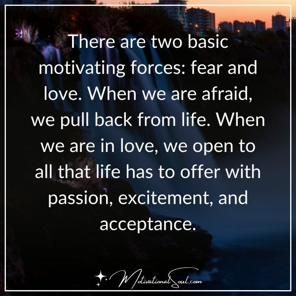 Quote: THERE ARE TWO BASIC
MOTIVATING FORCES:
FEAR AND LOVE.