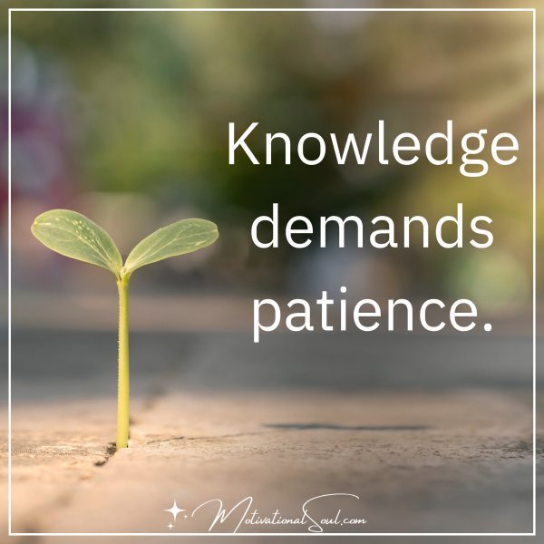 Quote: Knowledge
demands
patience.
