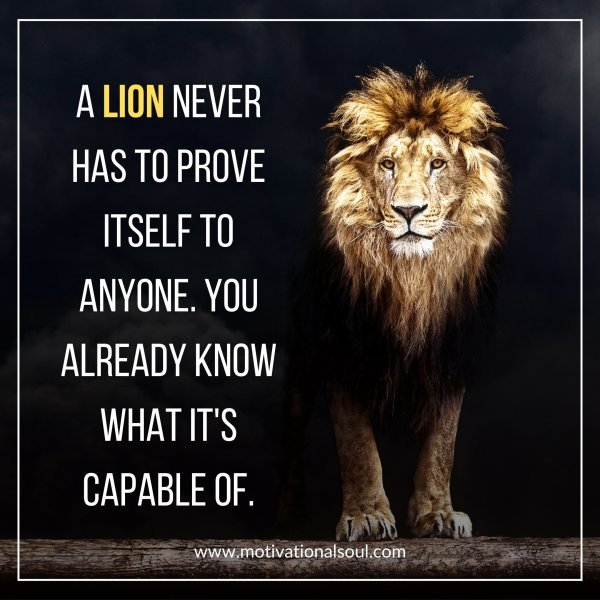 A LION NEVER HAS TO