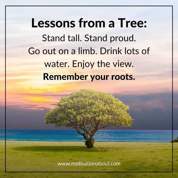 Quote: Lessons from a Tree:
Stand tall
Stand proud
Go out