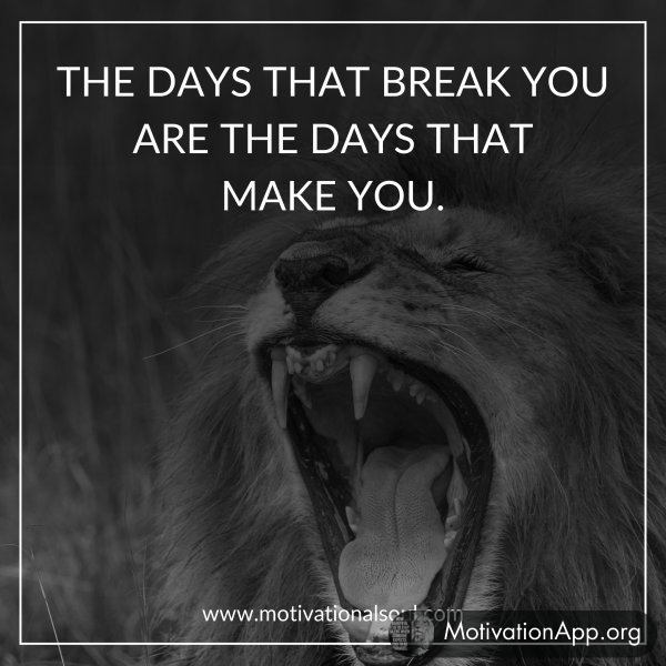 THE DAYS THAT BREAK YOU