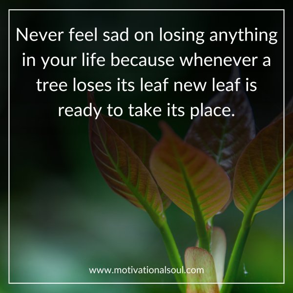 Never feel sad on losing anything