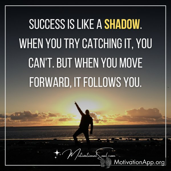 SUCCESS IS LIKE A SHADOW. WHEN YOU TRY CATCHING IT