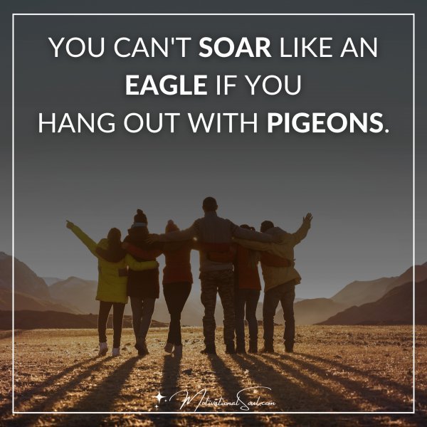 YOU CAN'T SOAR LIKE AN EAGLE IF YOU