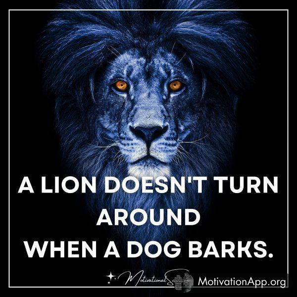 A LION DOESN'T TURN AROUND