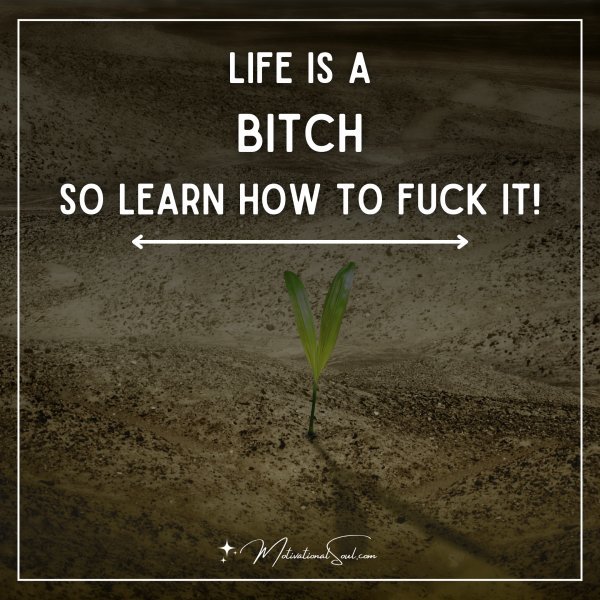 Life is a bitch