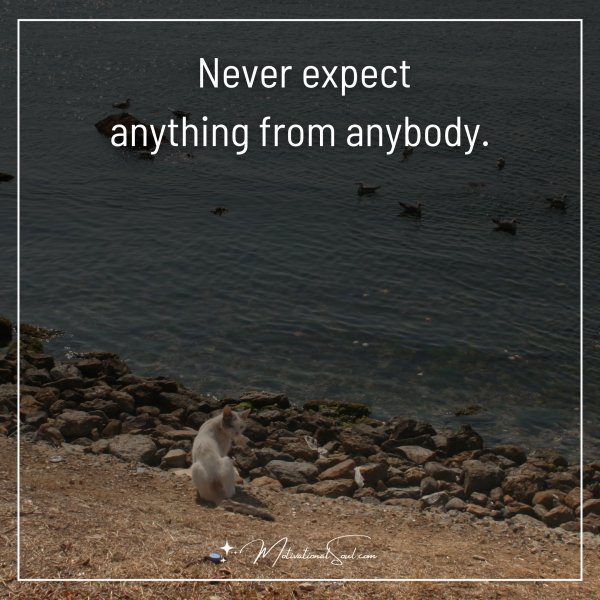 Never expect