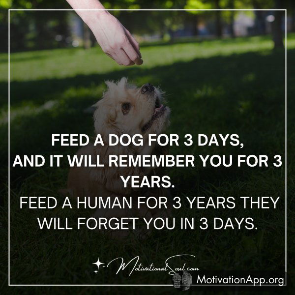 FEED A DOG FOR THREE DAYS