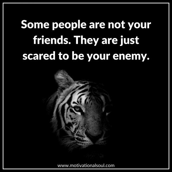 Quote: SOME PEOPLE ARE
NOT YOUR FRIEND.
THEY ARE JUST SCARED