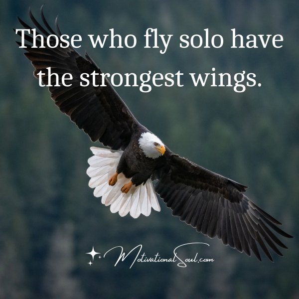 Those who fly solo have
