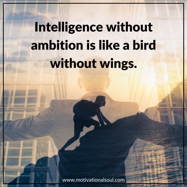 INTELLIGENCE WITHOUT AMBITION