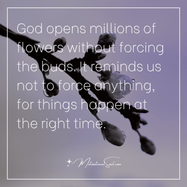 God opens millions of flowers without forcing the buds. It reminds us not to force anything