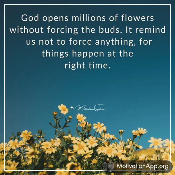 God opens millions of flowers without forcing the buds. It reminds us not to force anything