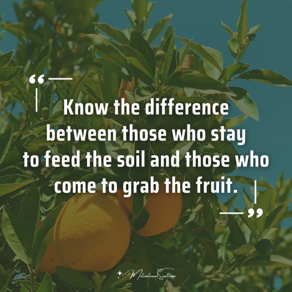 Know the difference between those who stay to feed the soil and those who come to grab the fruit.