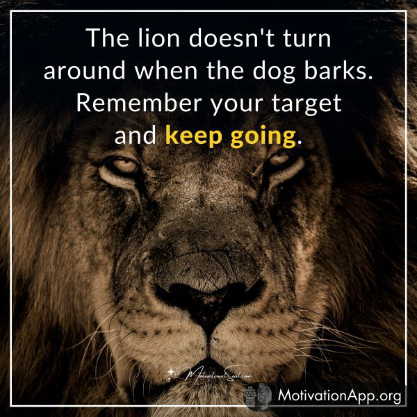 The lion doesn't turn around when the dog barks. Remember your target and keep going.