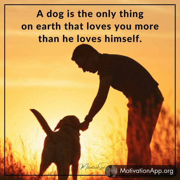 A dog is the only thing on earth that loves you more than he loves himself.