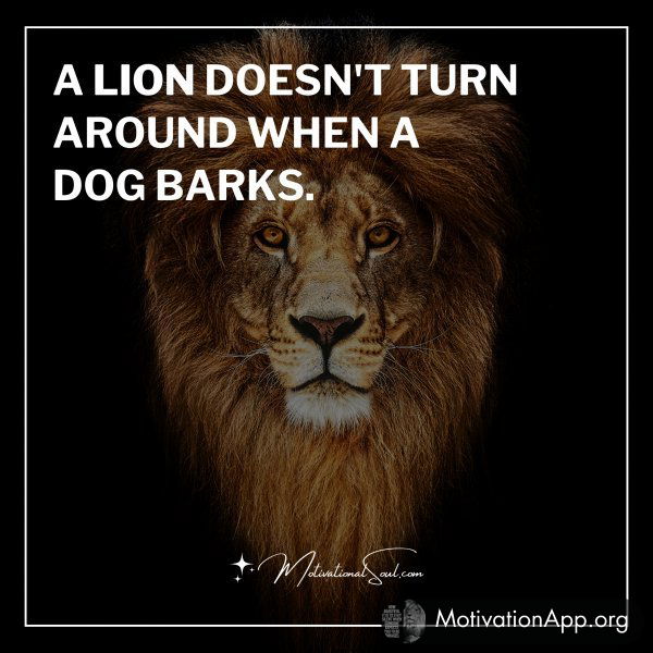 A LION DOESN'T TURN