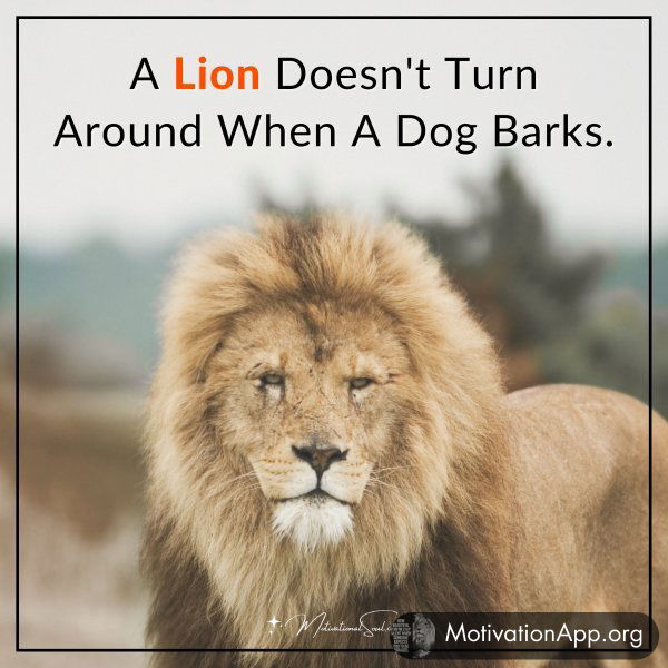 A Lion Doesn't Turn Around When A Dog Barks.