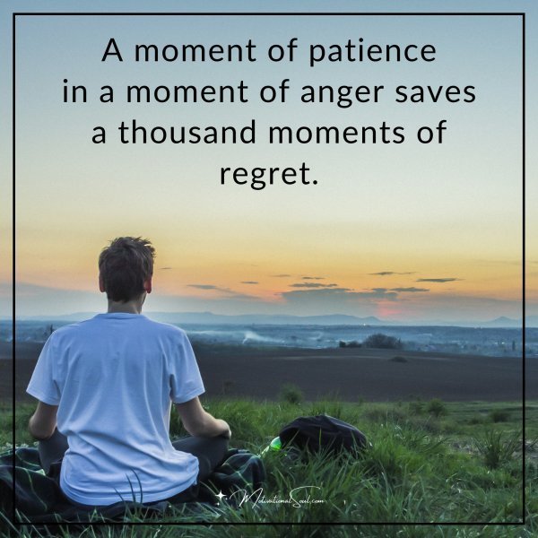 Quote: A moment of patience in a moment of anger saves a thousand moments of