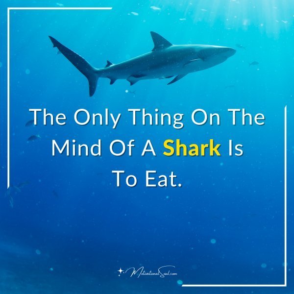 Quote: The Only Thing On The Mind Of A Shark Is To Eat.