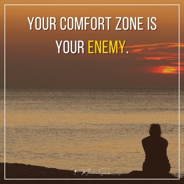 Your comfort zone is your enemy.