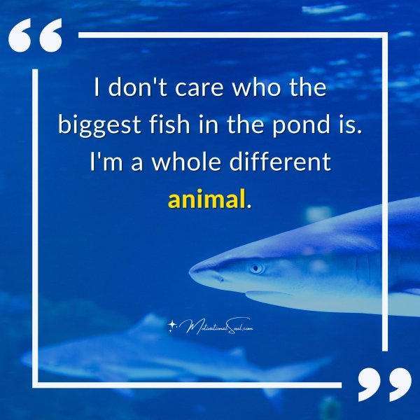 I don't care who the biggest fish in the pond is. I'm a whole different animal.