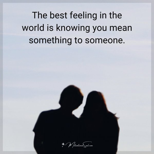 The best feeling in the world is knowing you mean something to someone.