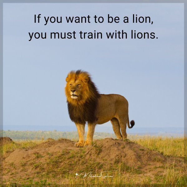 Quote: If you want to be a lion, you must train with lions.