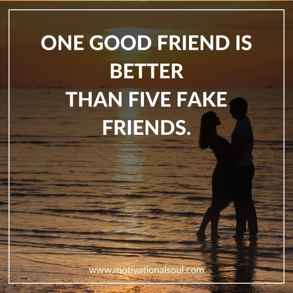 Quote: ONE GOOD FRIEND IS BETTER
THAN FIVE FAKE FRIENDS.
