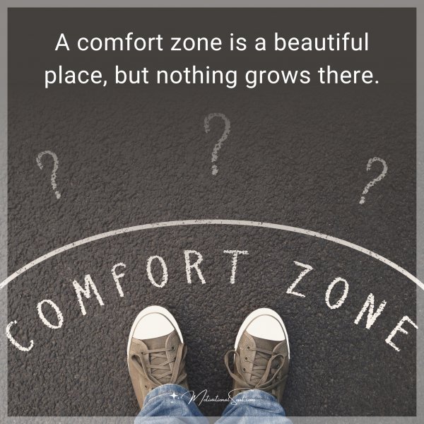 Quote: A comfort zone is a beautiful place, but nothing grows there.