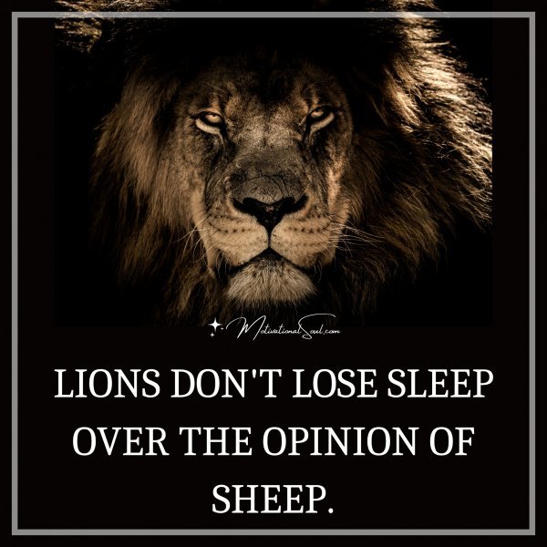 LIONS DON'T LOSE SLEEP