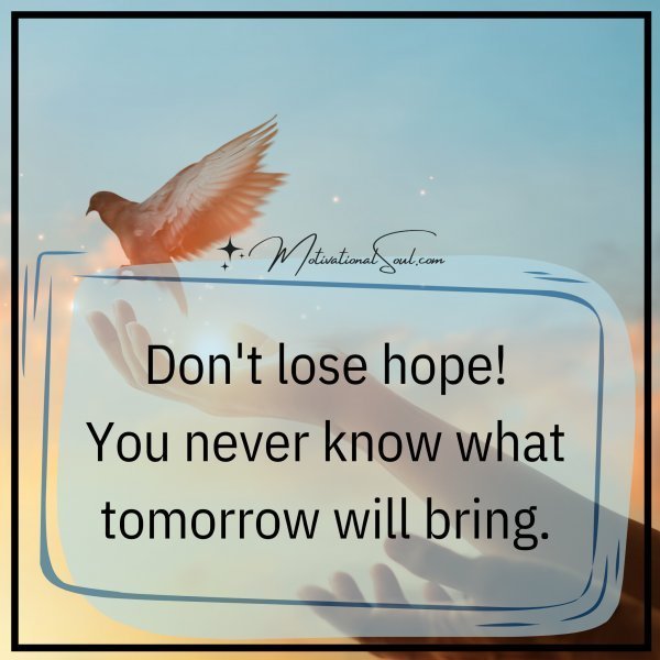 Quote: Don’t lose hope
TODAY
TOMORROW
You never know