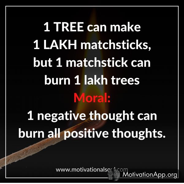 1 TREE can make