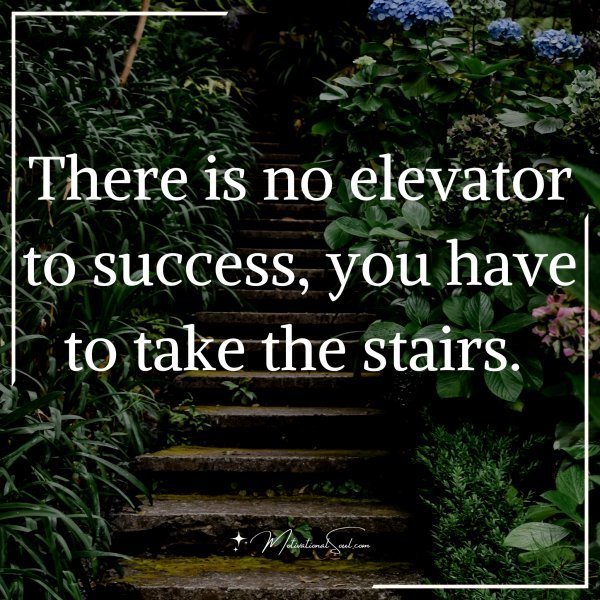 Quote: There is no elevator
to success, you have
to take the